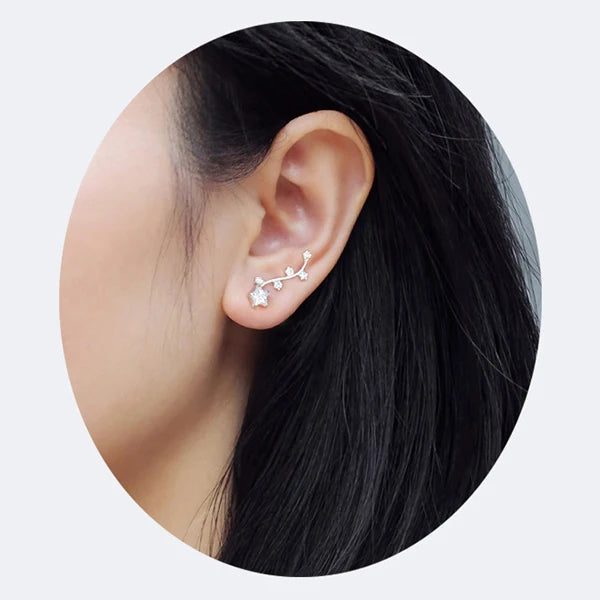 Flourish Your Sparkle Ear Climbers