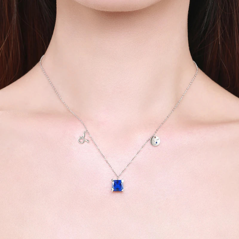 Your Zodiac Sign & Constellation Necklace