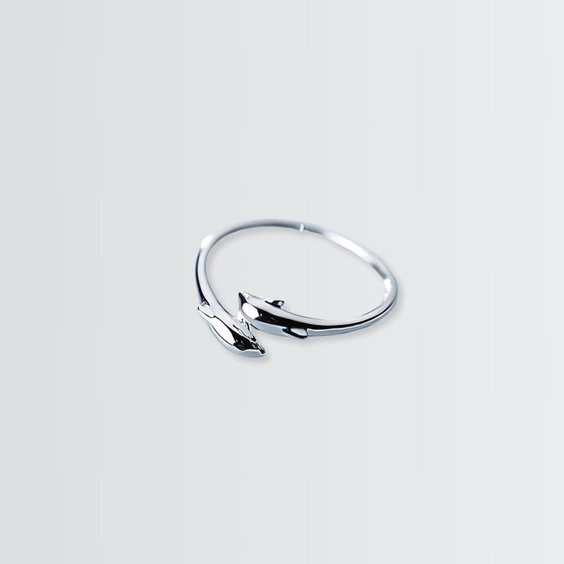 Bague "Saut à travers les mers"