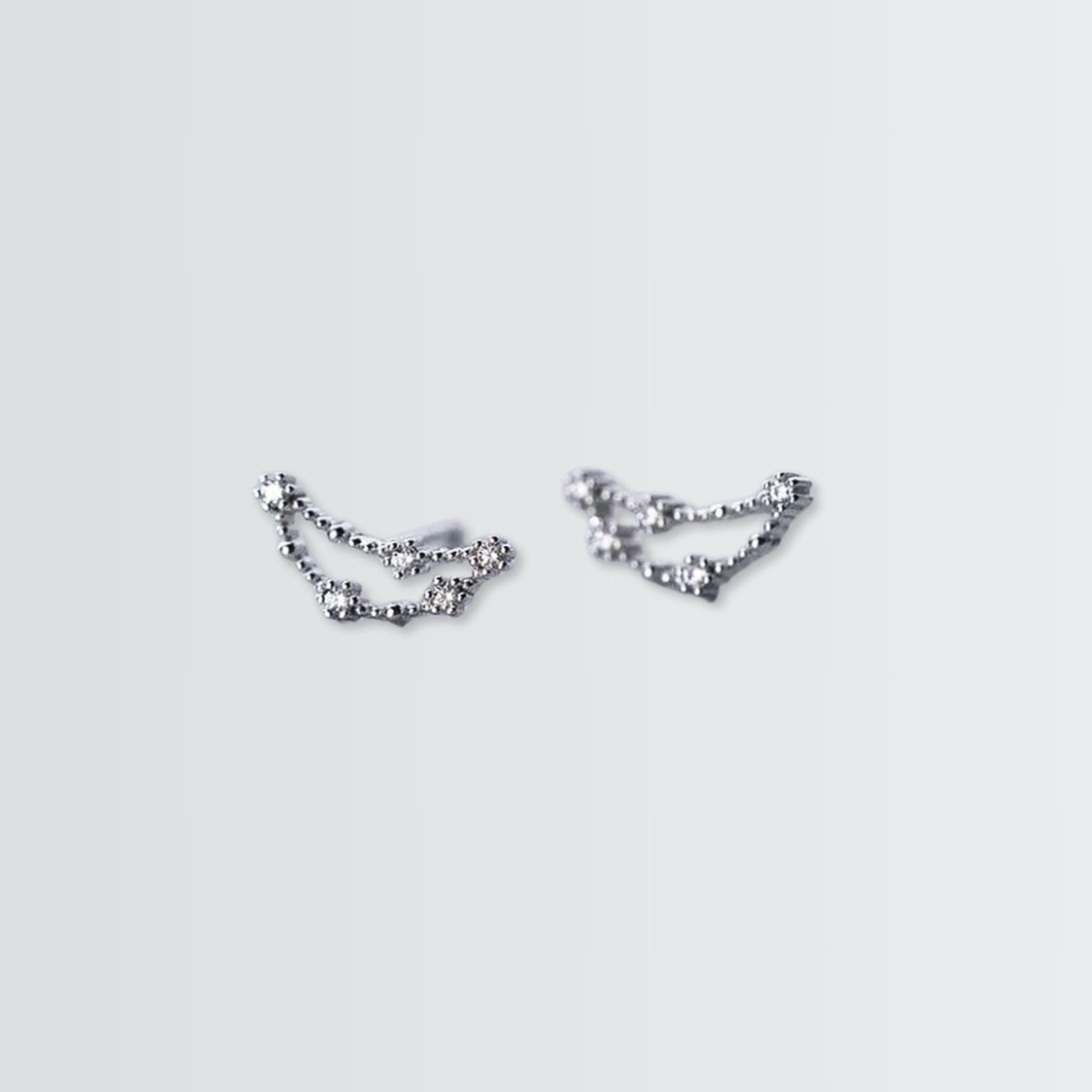 Your Zodiac Constellation Minimal Studs