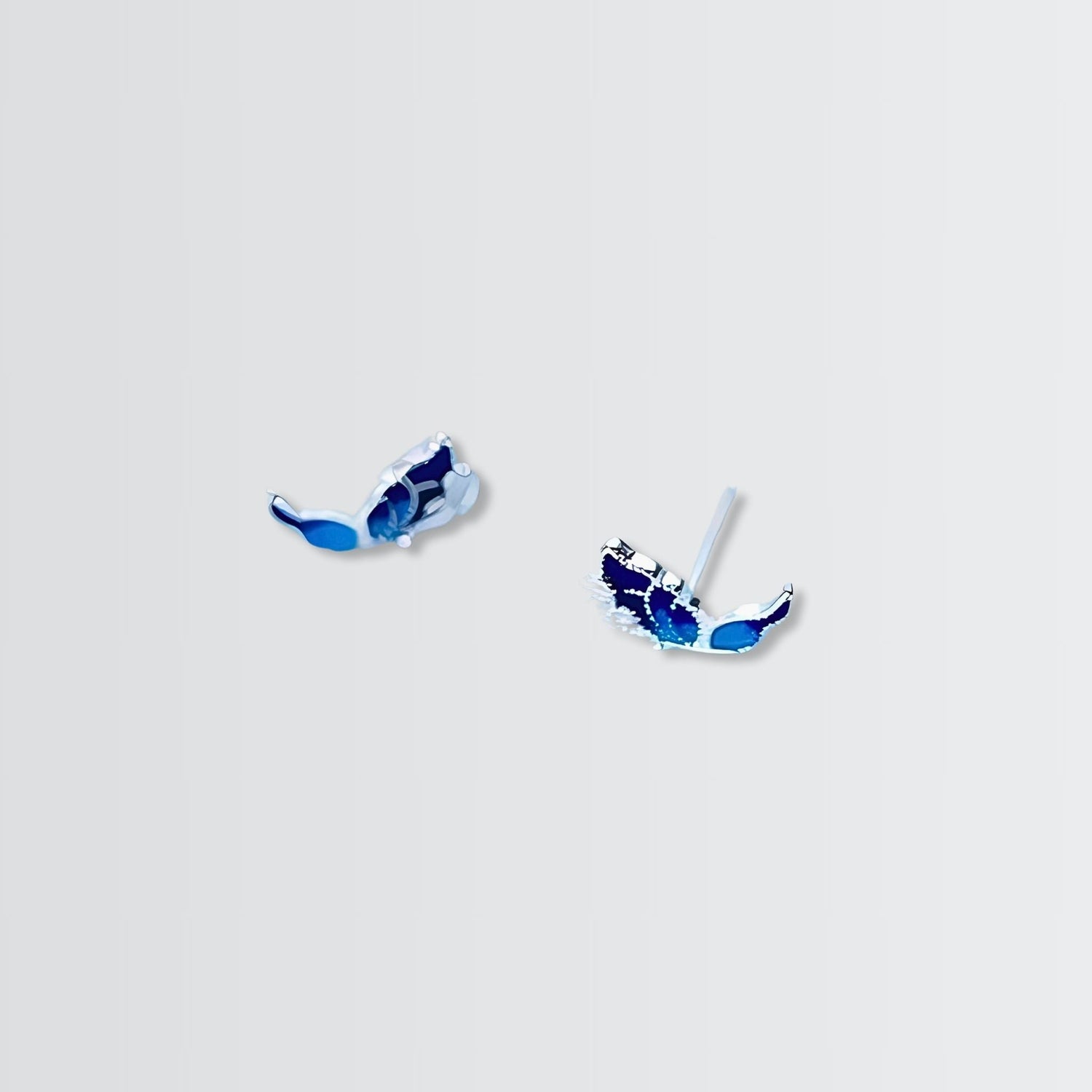 Menelaus Morpho Studs