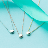 Polished Curve Minimal Necklace - Blinglane